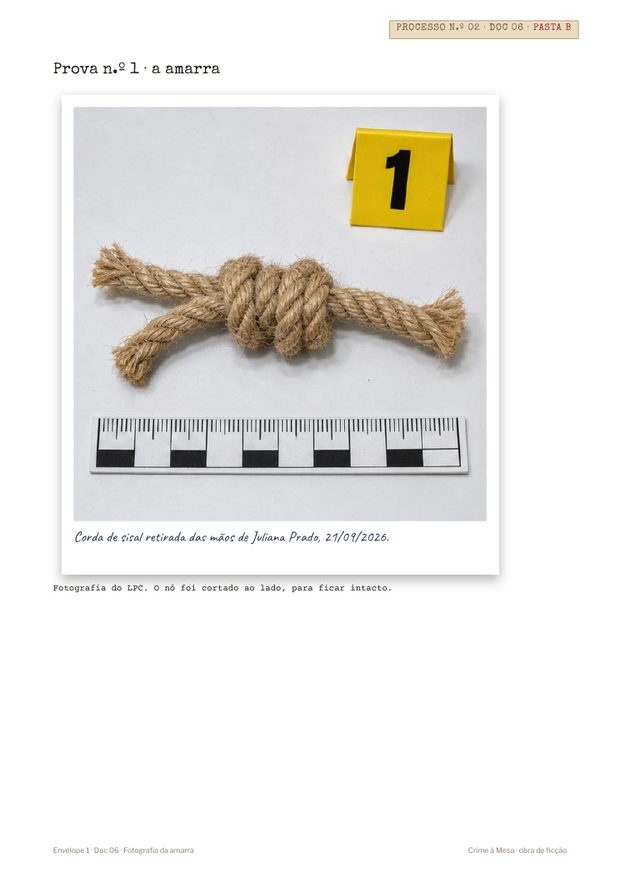 Fotografia de prova n.º 1 do processo 02, uma corda de sisal com marcador amarelo